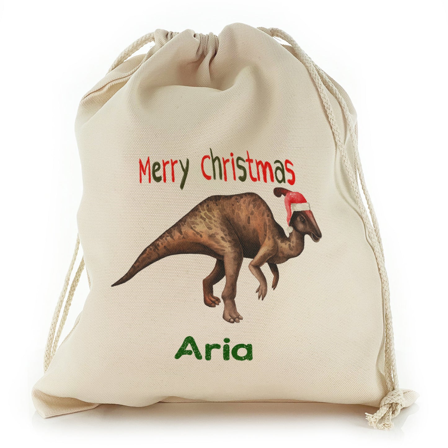 Personalised Canvas Sack with Dino Text and Santa Hat HatParasaurolophus